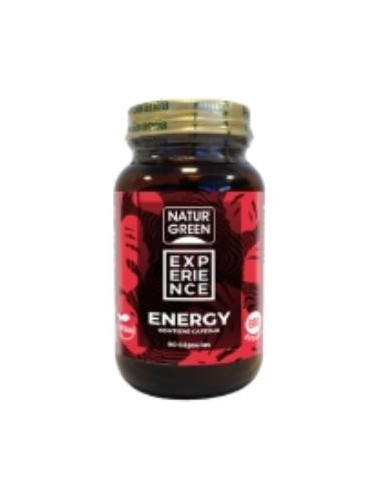 EXPERIENCE ENERGY 90cap. BIO NATURGREEN