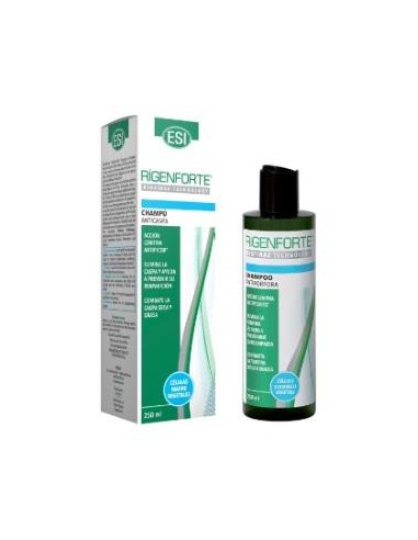 RIGENFORTE champu anticaspa 200ml. TREPATDIET-ESI