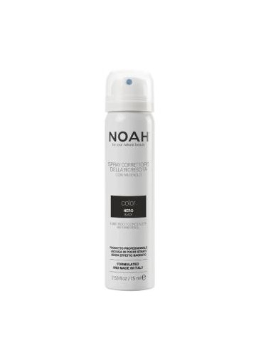 CORRECTOR RAICES NEGRO 75ml. NOAH