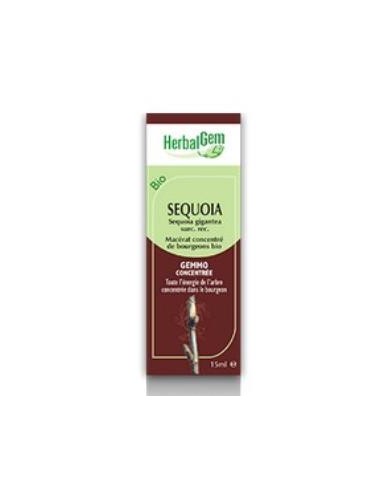 SEQUOIA macerado glicerinado 50ml. HERBALGEM