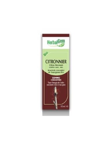 LIMONERO macerado glicerinado 50ml. HERBALGEM