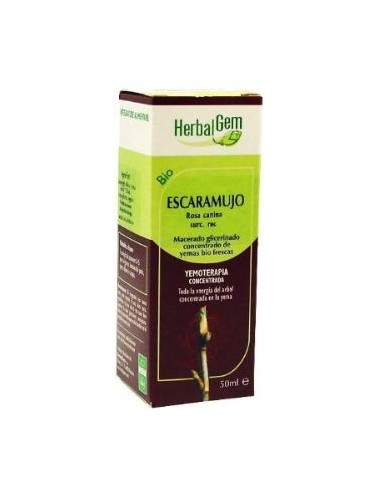 ESCARAMUJO (rosal silv) macerado glicerinado 50ml. HERBALGEM