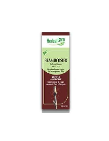 FRAMBUESO macerado glicerinado 15ml. HERBALGEM