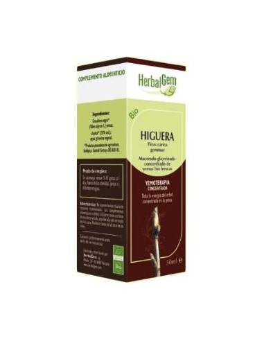 HIGUERA macerado glicerinado 50ml. HERBALGEM