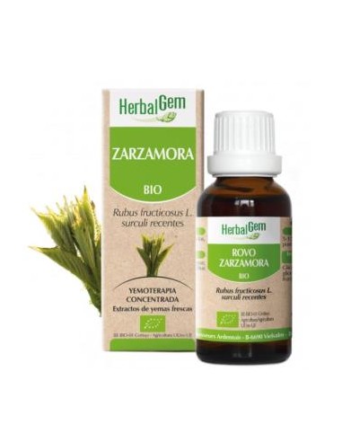 ZARZAMORA macerado glicerinado 50ml. HERBALGEM