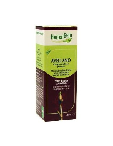 AVELLANO macerado glicerinado 50ml. HERBALGEM