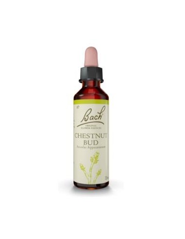 FLORES BACH CHESTNUT BUD brote castaño 20ml. FLORES BACH ORIGINAL