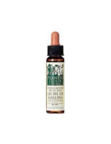 CENTAURY PLANTIS flores de bach Nº 04 10ml. ARTESANIA