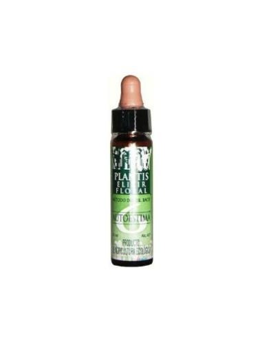 REMEDIO PLANTIS Nº 6 AUTOESTIMA 10ml. ECO ARTESANIA