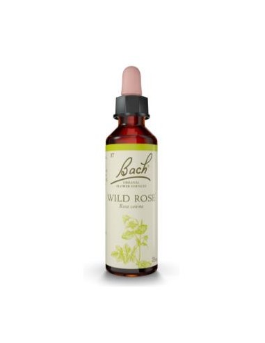 FLORES BACH WILD ROSE rosa silvestre 20ml. FLORES BACH ORIGINAL