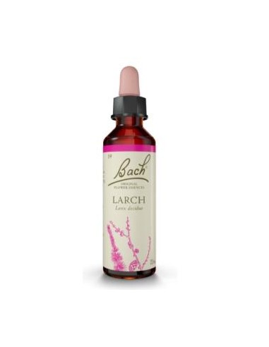 FLORES BACH LARCH alerce 20ml. FLORES BACH ORIGINAL