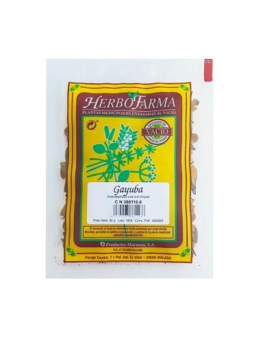 MACOESA GAYUBA HERBOFARMA 30gr