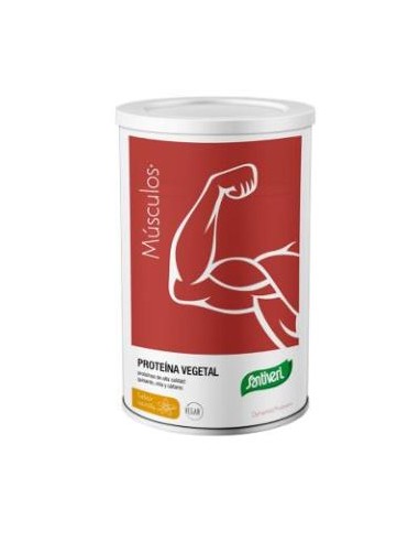 DYNAMIC proteina vegetal vainilla 455gr. SANTIVERI