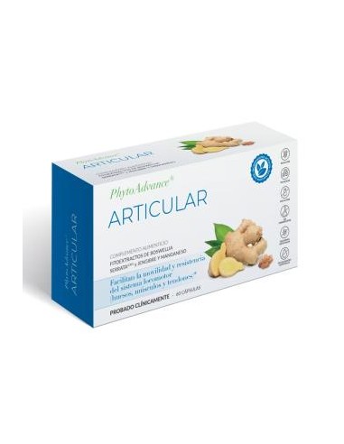 PHYTOADVANCE ARTICULAR 60cap.