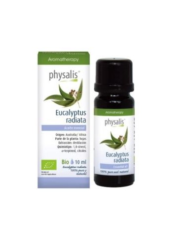 ESENCIA EUCALIPTO RADIATA 10ml. BIO PHYSALIS