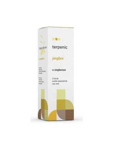 JENGIBRE aceite esencial 5ml TERPENIC