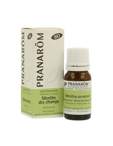 MENTA DE CAMPO aceite esencial BIO 10ml. PRANAROM ACEITES