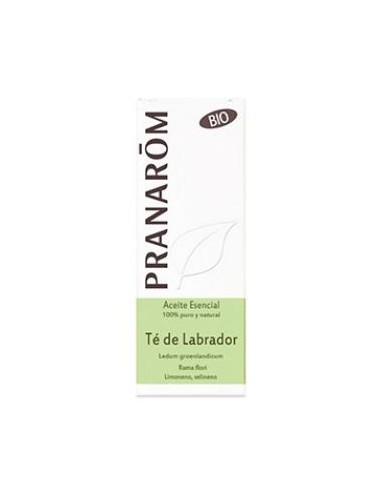 TE DEL LABRADOR aceite esencial BIO 5ml. PRANAROM ACEITES