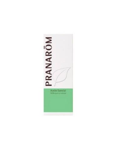 CANTUESO aceite esencial 10ml. PRANAROM ACEITES