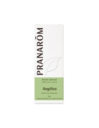 ANGELICA aceite esencial 5ml. PRANAROM ACEITES