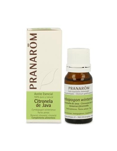 CITRONELA DE JAVA aceite esencial 10ml. PRANAROM ACEITES