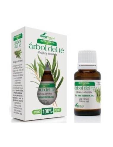 ARBOL DEL TE aceite esencial 15ml. SORIA NATURAL