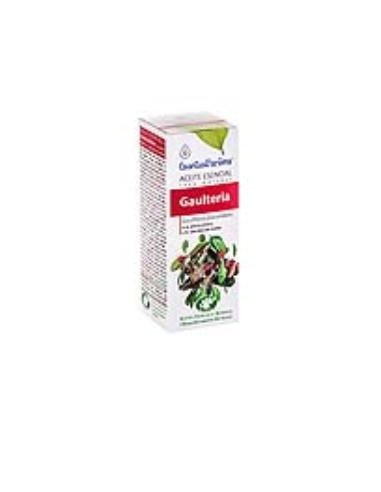 GAULTHERIA aceite esencial 10ml. Esentialaroms ESENTIAL AROMS