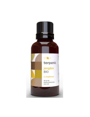 JENGIBRE aceite esencial BIO 30ml. TERPENIC