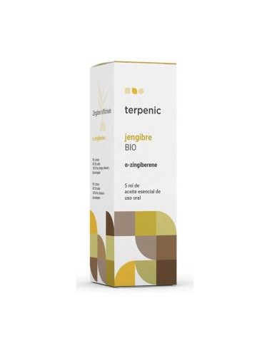 JENGIBRE aceite esencial BIO 5ml. TERPENIC