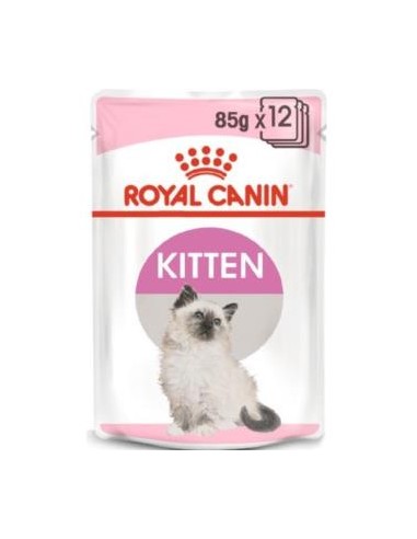 ROYAL FELINE KITTEN PATE CAJA 12X85gr. ROYAL CANIN VET