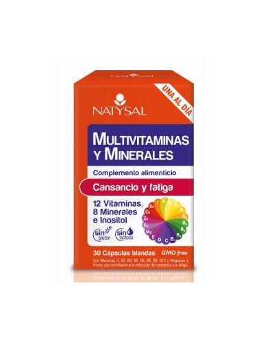 MULTIVITAMINAS Y MINERALES 30cap. NATYSAL