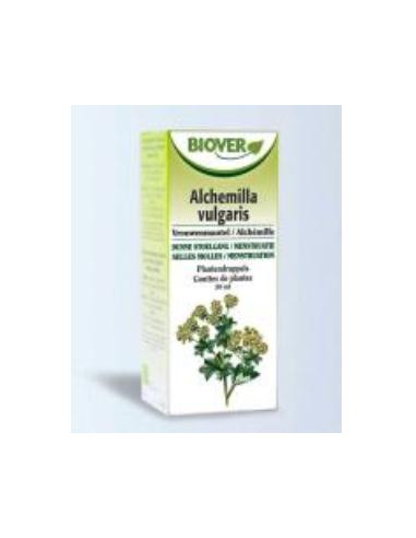 EXT. ALCHEMILLA VULGARIS (alchemilla) 50ml. BIOVER