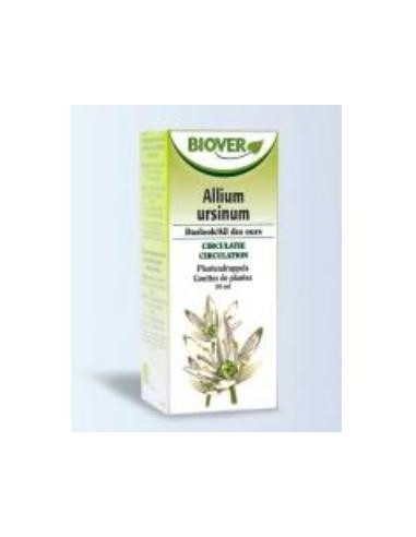 EXT. ALLIUM URSINUM (ajo silvestre) 50ml. BIOVER