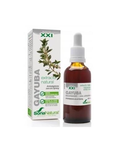 EXT. GAYUBA XXI 50ml. s/al SORIA NATURAL