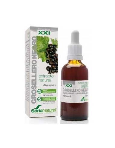 EXT. GROSELLERO NEGRO XXI 50ml. s/al SORIA NATURAL