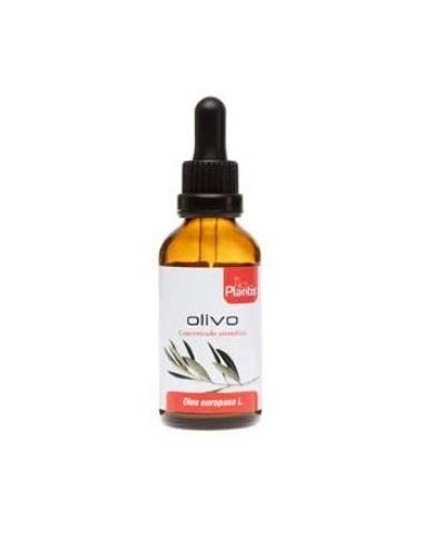 EXT.OLIVO 50ml MAESE HERBARIO ARTESANIA