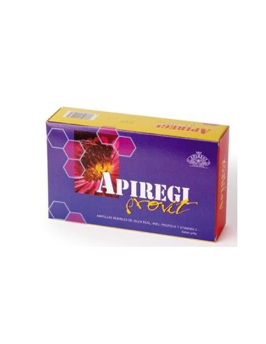 APIREGI PROVIT 20amp. ARTESANIA