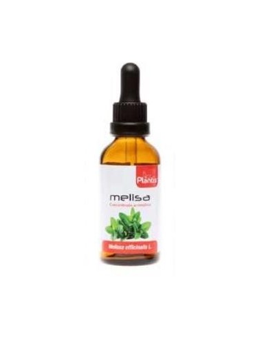 EXT.MELISA 50ml MAESE HERBARIO ARTESANIA