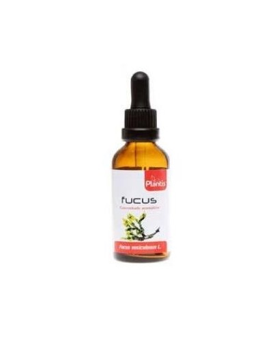 EXT.FUCUS 50ml MAESE HERBARIO ARTESANIA