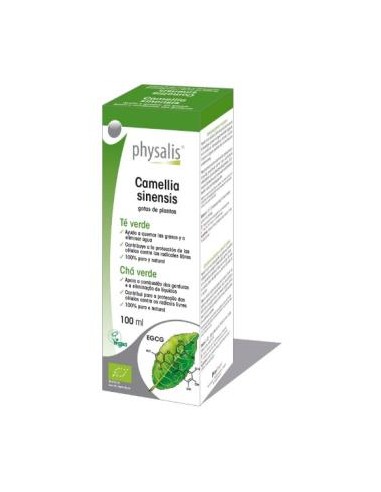 EXT. TE VERDE (camelia sinensis) 100ml. BIO PHYSALIS