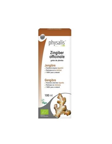 JENGIBRE extracto 100ml. BIO PHYSALIS