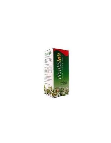 PLANTISLAB ECO (digestivo) jarabe 250ml. ARTESANIA