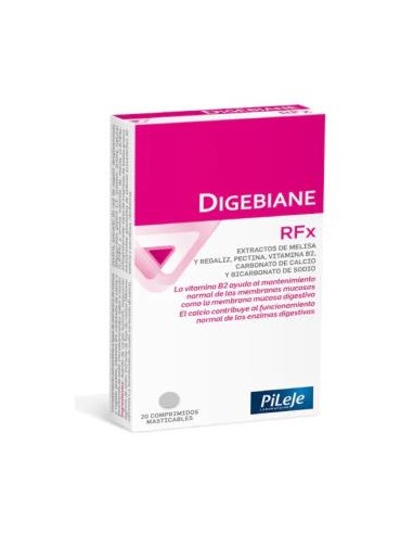 DIGEBIANE RFX 20comp. mast. PILEJE