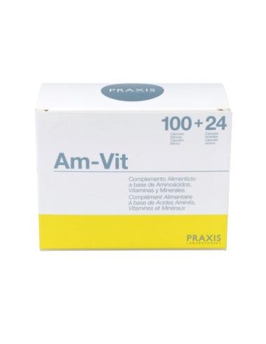 AM-VIT (aminoac.+vit+minerales+oligoel) 100+24comp PRAXIS