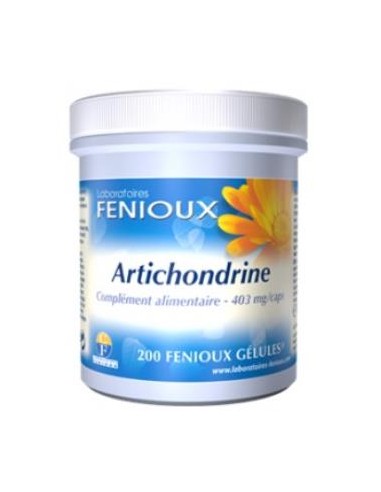 ARTICHONDRINE 200cap. FENIOUX