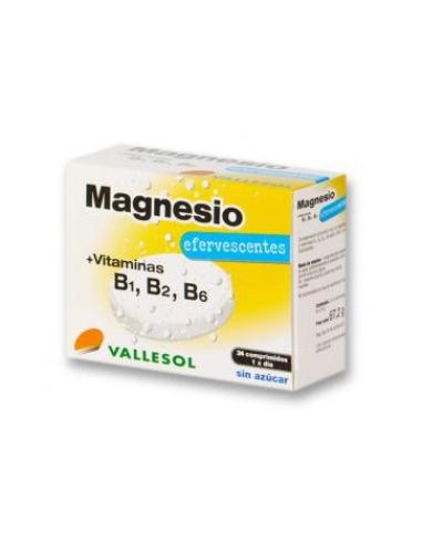 VALLESOL MAGNESIO+B EFERVESCENTE 24comp.