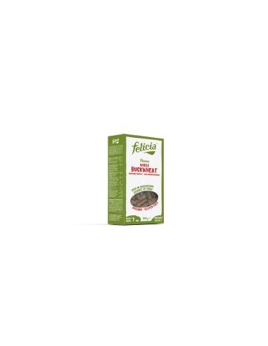 MACARRONES DE TRIGO SARRACENO integral 250g BIO SG FELICIA