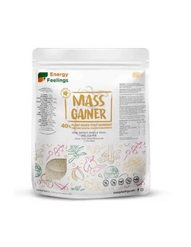 MASS GAINER 1kg. ENERGY FEELINGS