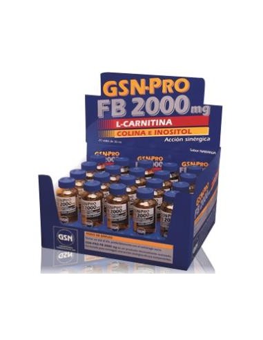 GSN-PRO FB-2000mg 20viales (carnitina) 30 ml