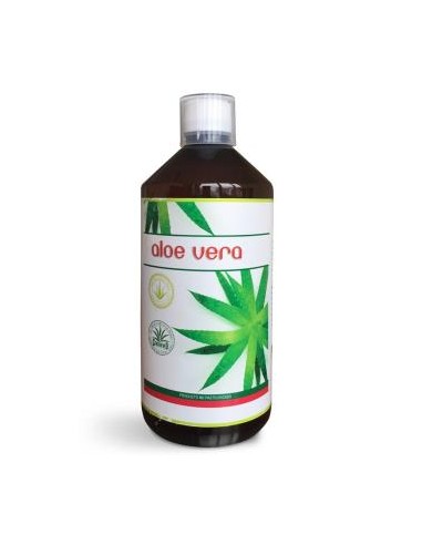 ALOE VERA 1litro ENZIME - SABINCO